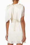 Elisabetta Franchi Fringe Mini Dress