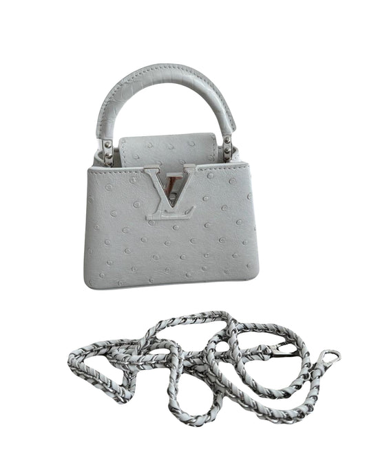 Louis Vuitton capucine bag  Croco and ostrich