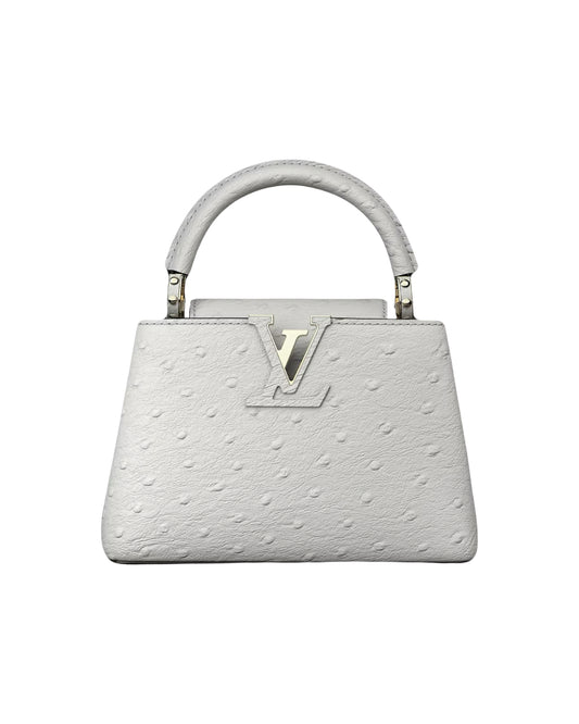 Louis Vuitton capucine bag Croco and ostrich