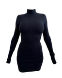 Limelight black turtle neck backless dress